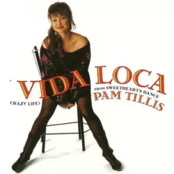 Mi Vida Loca (My Crazy Life)