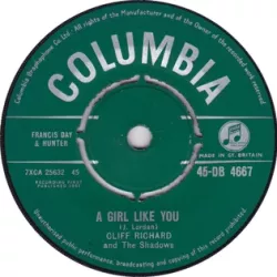 A Girl Like You