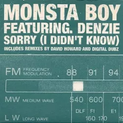 Sorry (I Didn't Know)