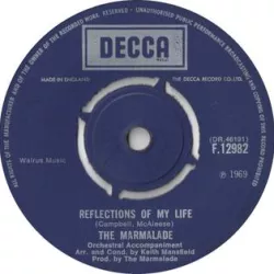 Reflections of My Life