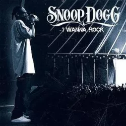 I Wanna Rock