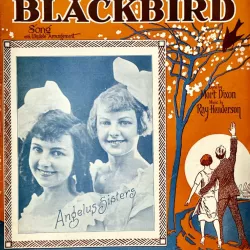 Bye Bye, Blackbird