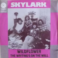Wildflower