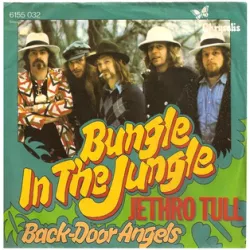 Bungle in the Jungle