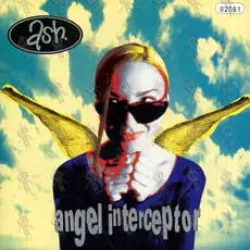 Angel Interceptor