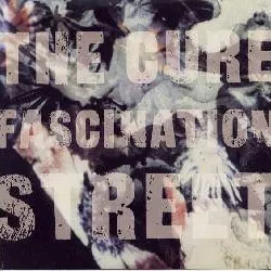 Fascination Street
