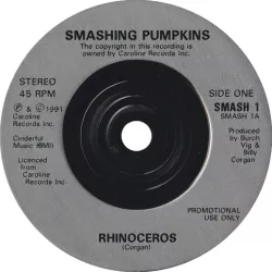 Rhinoceros