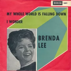 My Whole World Is Falling Down