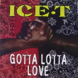 Gotta Lotta Love