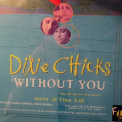 Without You