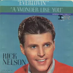 A Wonder Like You