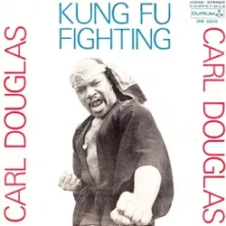 Kung Fu Fighting