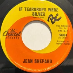 If Teardrops Were Silver