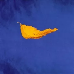 True Faith '94