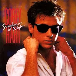 Sunglasses at Night