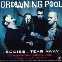 Bodies
