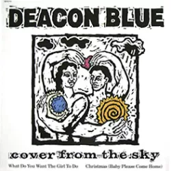 Cover from the Sky