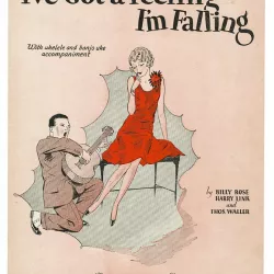 I've Got a Feeling I'm Falling