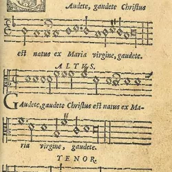 Gaudete