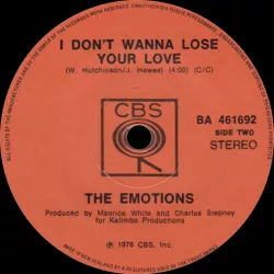 I Don't Wanna Lose Your Love
