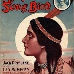 My Prairie Song Bird