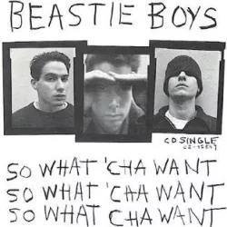 So What'cha Want