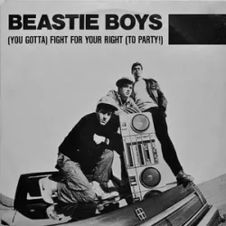 (You Gotta) Fight for Your Right (To Party)