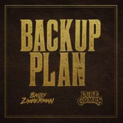 Backup Plan