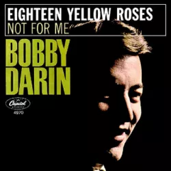 18 Yellow Roses