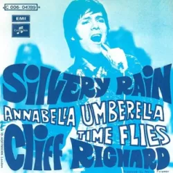 Silvery Rain