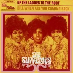 Up the Ladder to the Roof