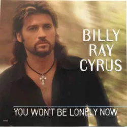 You Won't Be Lonely Now