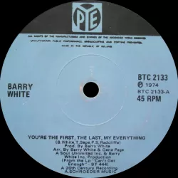 You're the First the Last My Everything