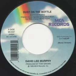 Dust on the Bottle