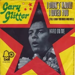 I Didn't Know I Loved You (Till I Saw You Rock & Roll)