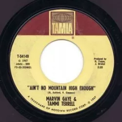 Remember Me / Ain't No Mountain High Enough