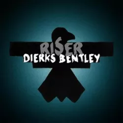 Riser