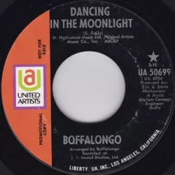 Dancing in the Moonlight (remix)