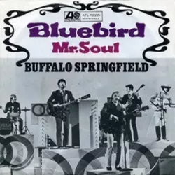 Bluebird
