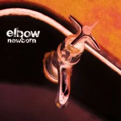 Newborn