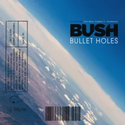 Bullet Holes