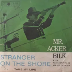 Stranger on the Shore