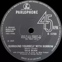 Surround Yourself with Sorrow