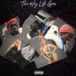 The Way Life Goes