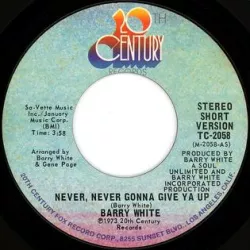 Never, Never Gonna Give You Up