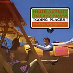 Tijuana Taxi