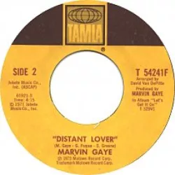 Distant Lover