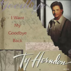 I Want My Goodbye Back
