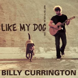 Like My Dog