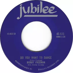 Do You Wanna Dance?